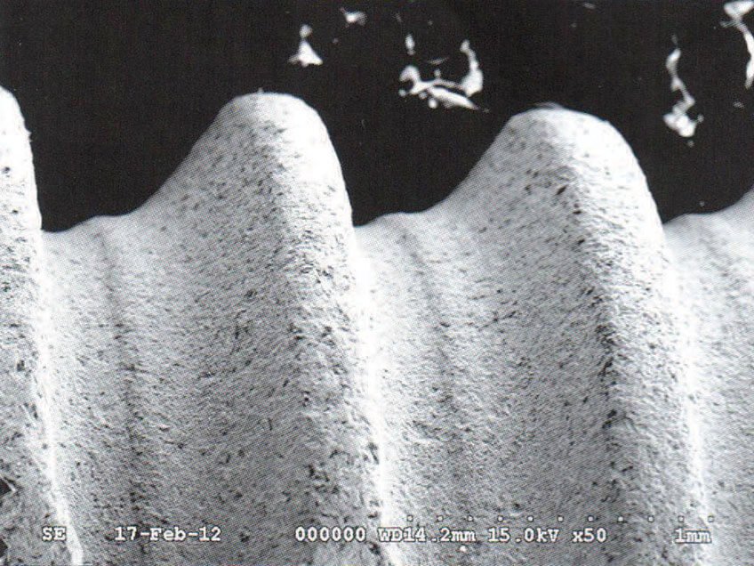 Bionika CorticaL implantátum felület EM képe
